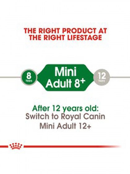 SHN MINI ADULT 8+_web3